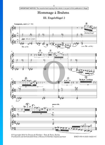 Hommage à Brahms: III. Engelsflügel 2 Sheet Music