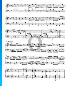 Concerto in B Minor, BWV 979: 5. Adagio