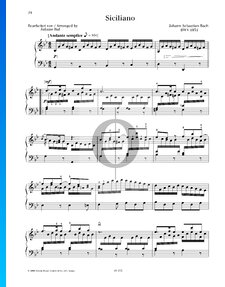 Sonate pour flûte en Mi bémol majeur, BWV 1031 : 2. Sicilienne