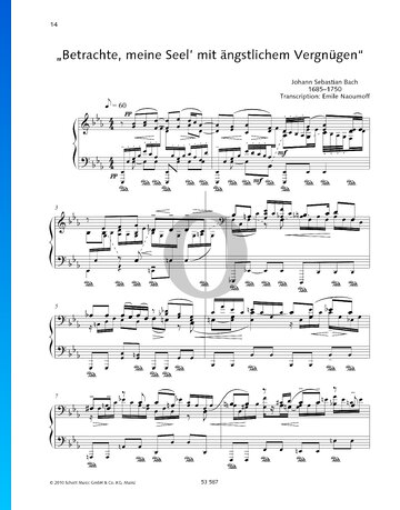 Betrachte, meine Seel’, mit ängstlichem Vergnügen, BWV 245 Sheet Music