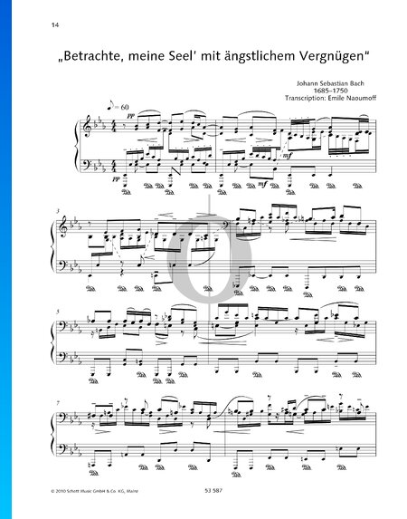Betrachte, meine Seel’, mit ängstlichem Vergnügen, BWV 245