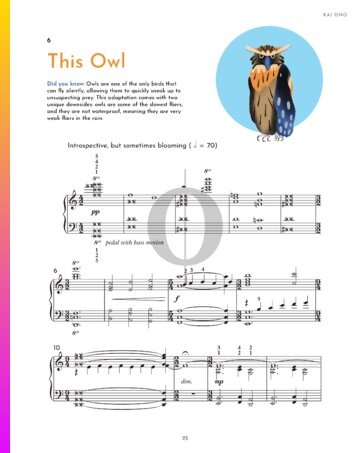 This Owl bladmuziek