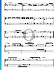 Concerto in D Minor, BWV 987: 3. Adagio