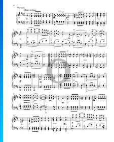 Sonata in G Major, Op. 78 - D894: 3. Menuett