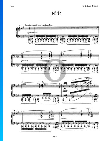 Hungarian Rhapsody No. 14, S.244/14 Spartito