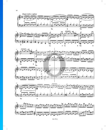 Sonata en re menor n.º 3, Op. 51 P. XII: 40: 2. Allegro molto e agitato Partitura