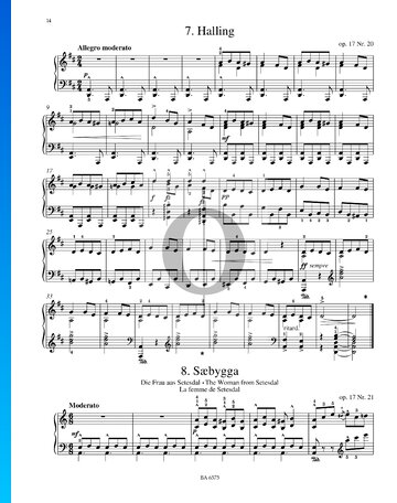 Saebygga (Die Frau aus Setesdal), Op. 17 Nr. 21 Musik-Noten