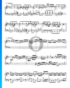 Concerto en Si mineur, BWV 979: 2. Adagio