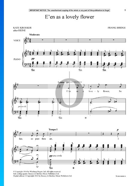 E’en As A Lovely Flower Sheet Music
