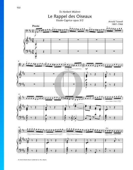 Etude - Caprice Op. 3 No. 2: Le Rappel des Oiseaux