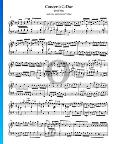 Concerto in G Major, BWV 986: 1. Allegro