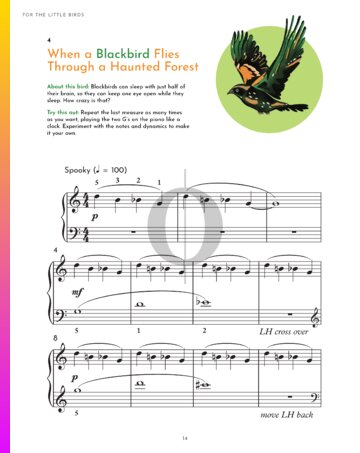 When a Blackbird Flies Through a Haunted Forest Spartito