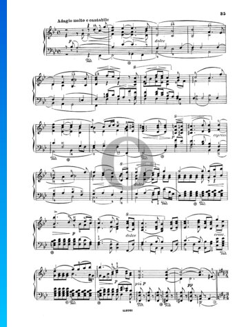 Symphonie Nr. 9 in d-Moll, Op. 125: 3. Adagio molto e cantabile Musik-Noten