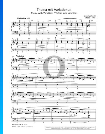 Thema mit Variationen, Op. 228 Musik-Noten