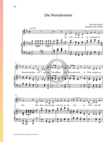 Die Wanderniere Partitura