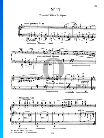 Hungarian Rhapsody No. 17, S.244/17 Spartito