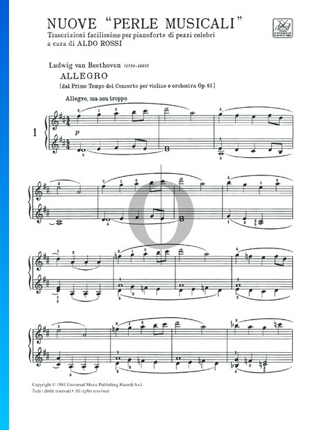 Konzert für Violine und Orchester in D-Dur, OP. 61: 1. Allegro ma non troppo