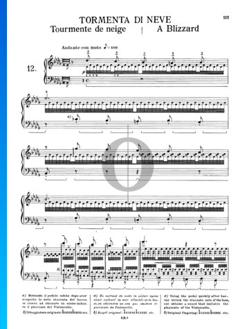 Transzendentale Etüde, Nr. 12 S.139 (Chasse-neige) Musik-Noten
