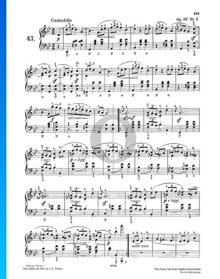 Mazurka in g-Moll, Op. 67 Nr. 2