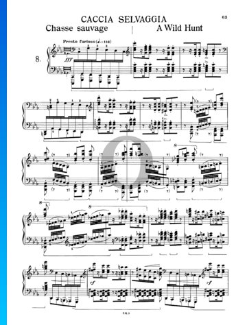 Transzendentale Etüde, Nr. 8 S.139 (Wilde Jagd) Musik-Noten