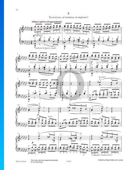 Etude in E-flat Minor: Tu m’attires, m’entraînes, m’engloutis!