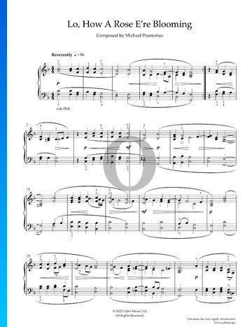 Lo, How A Rose E’re Blooming Sheet Music