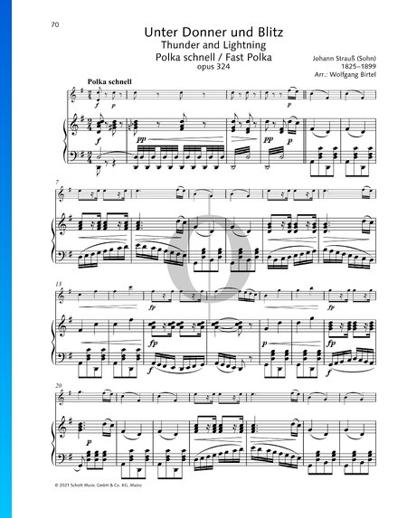Unter Donner und Blitz, Op. 324