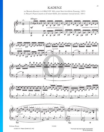 Cadenza to Mozart's Piano Concerto in D Minor K466, first movement (revised version) Sheet Music